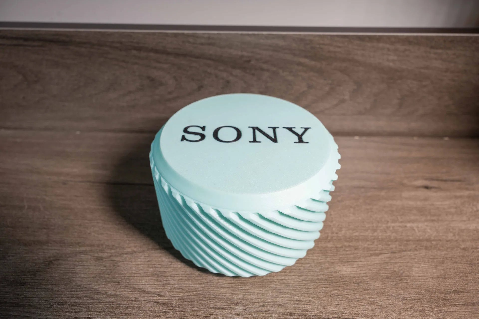 Sony Camera Battery & Memory Card Case
